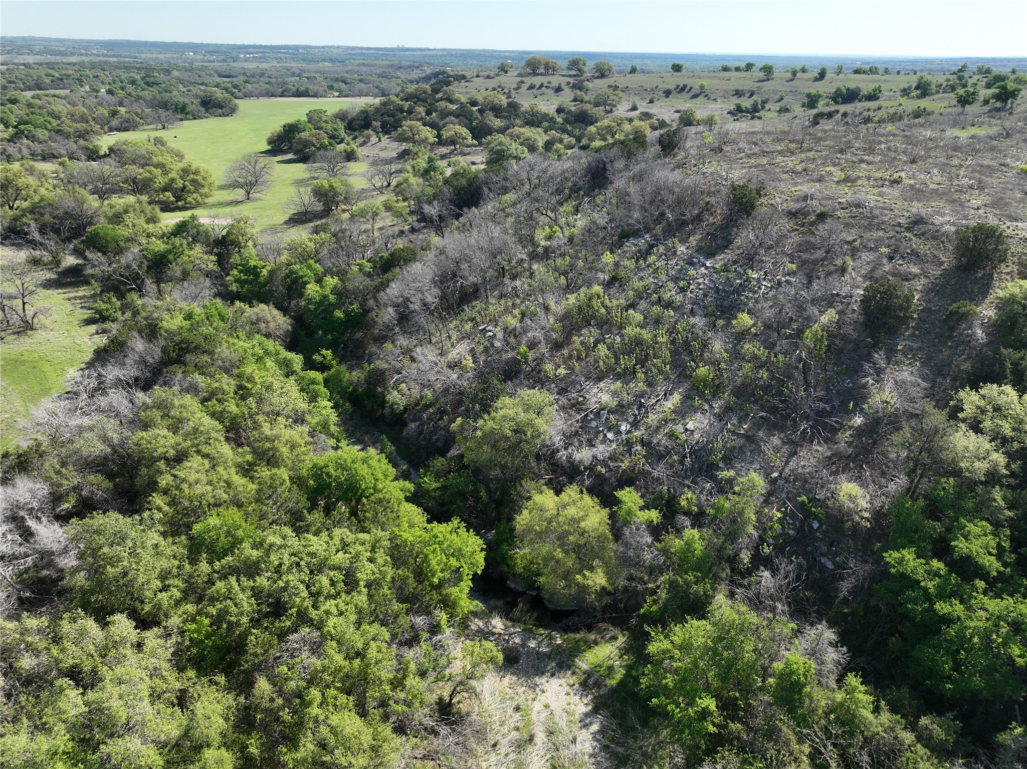 9051 Fm 205 Bluff Dale TX 76433