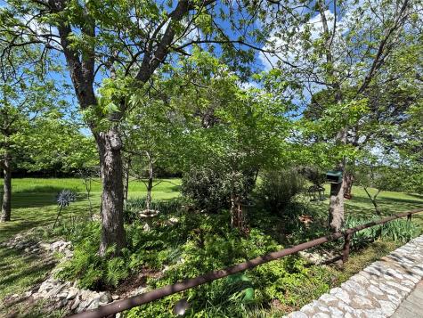 209 County Road 1764 Clifton TX 76634