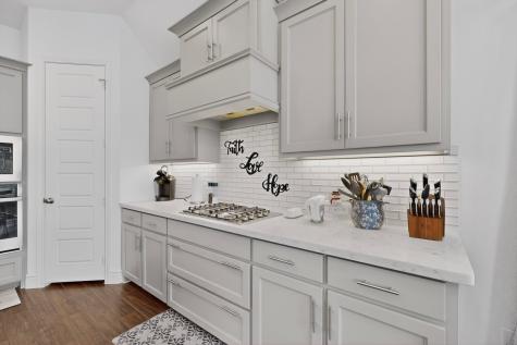 3917 Redbud Drive Aubrey TX 76227