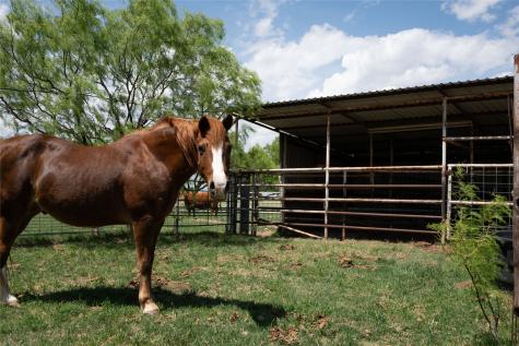 1416 Fm 2407 Rule TX 79547