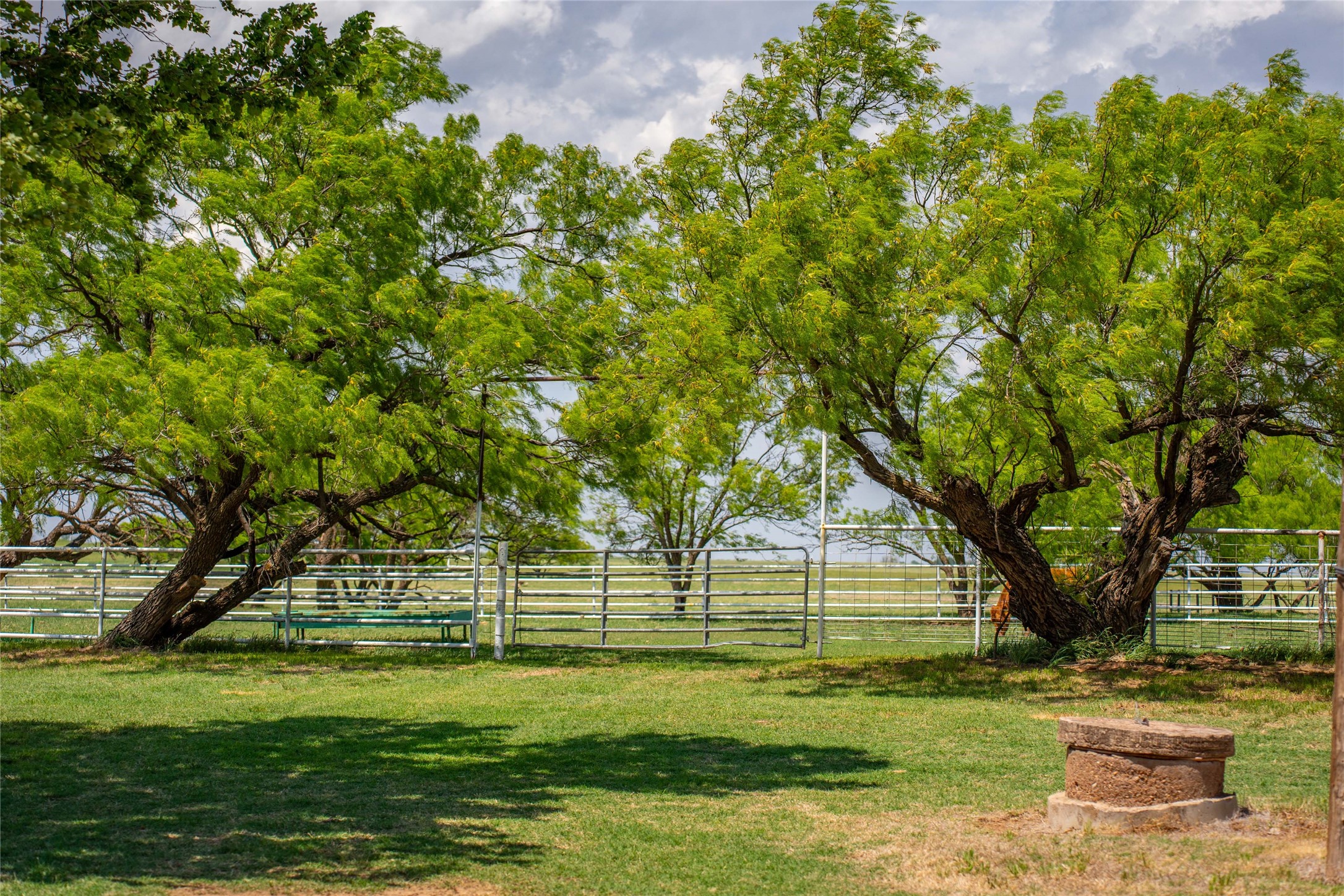 1416 Fm 2407 Rule TX 79547