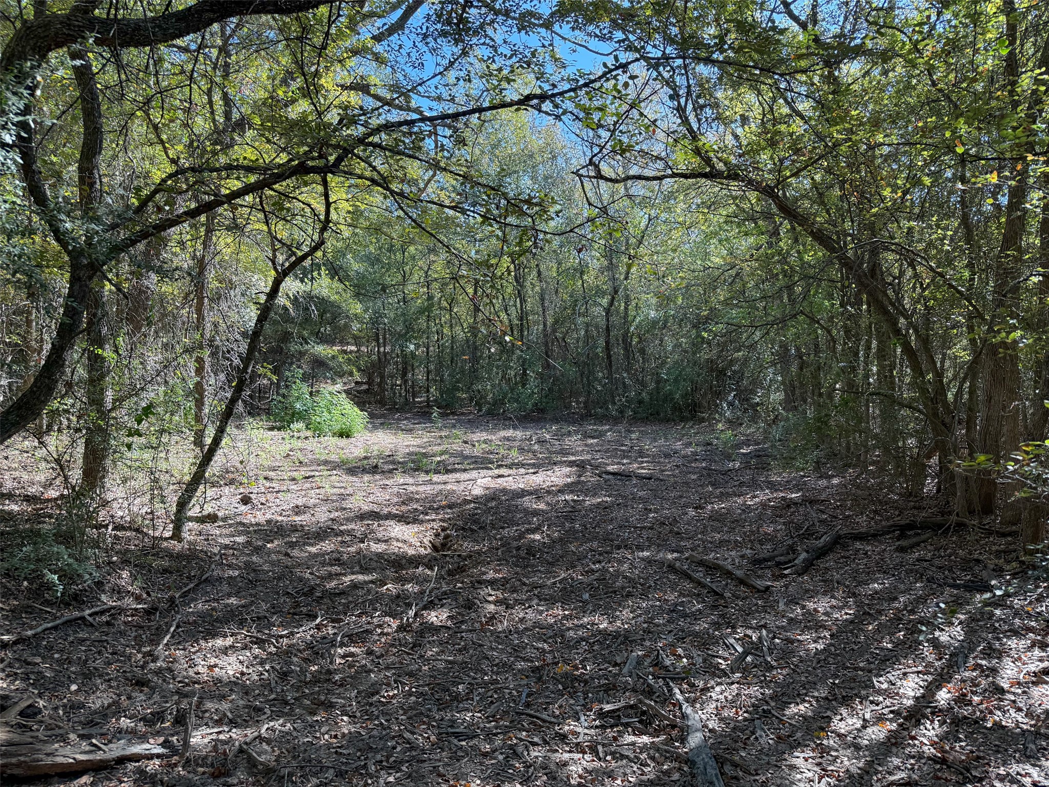 2301 Moseley Road Cross Roads TX 76227
