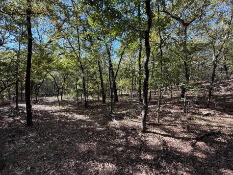 2301 Moseley Road Cross Roads TX 76227