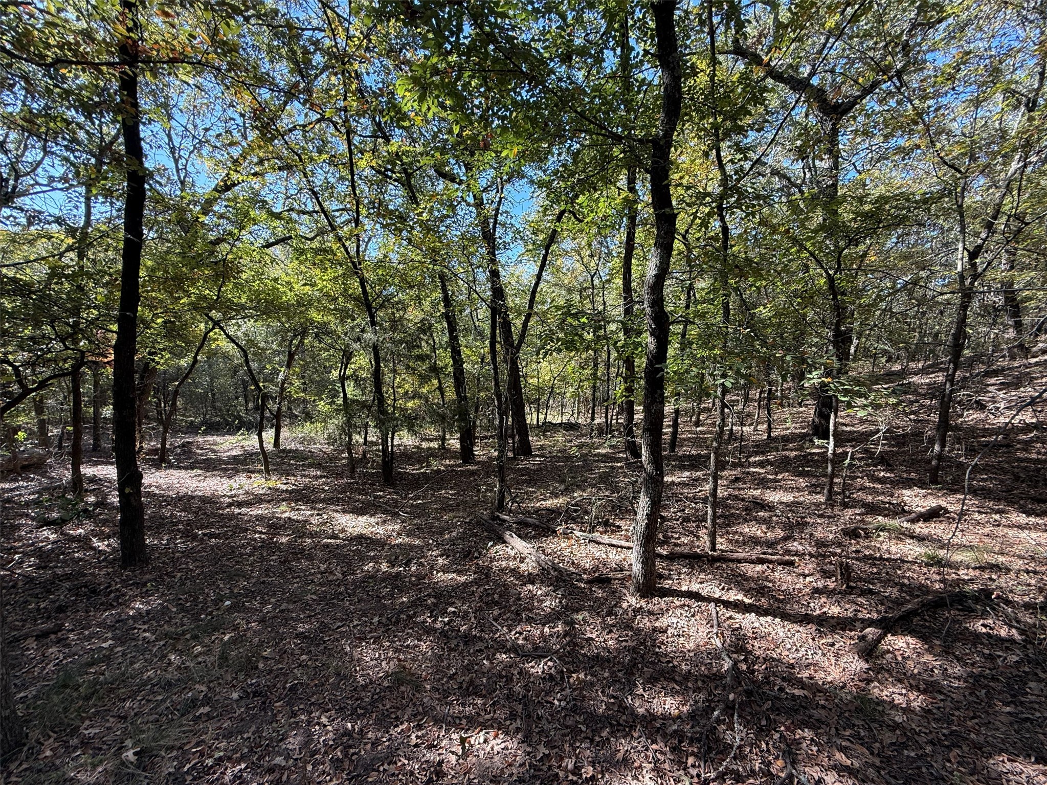 2301 Moseley Road Cross Roads TX 76227