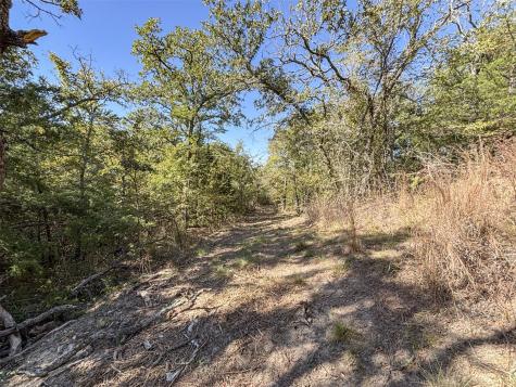 2301 Moseley Road Cross Roads TX 76227