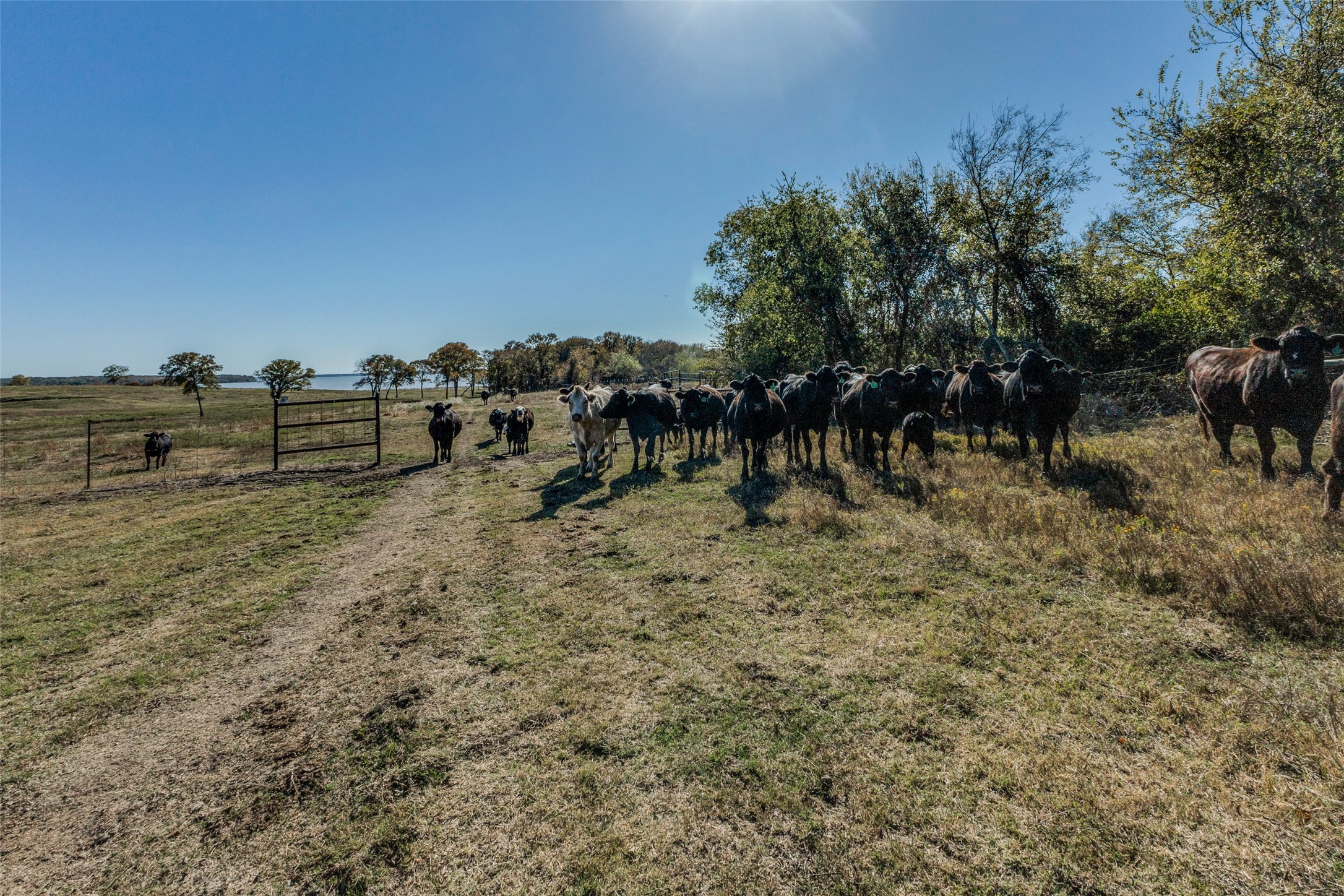 15675 County Road 4024 Kemp TX 75143