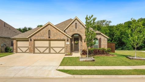 208 Northern Star Court Little Elm TX 75068