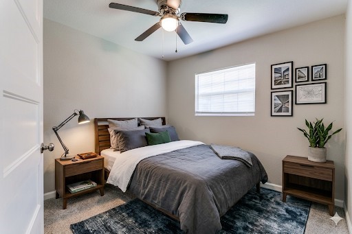 1506 Carnation Drive Lewisville TX 75067