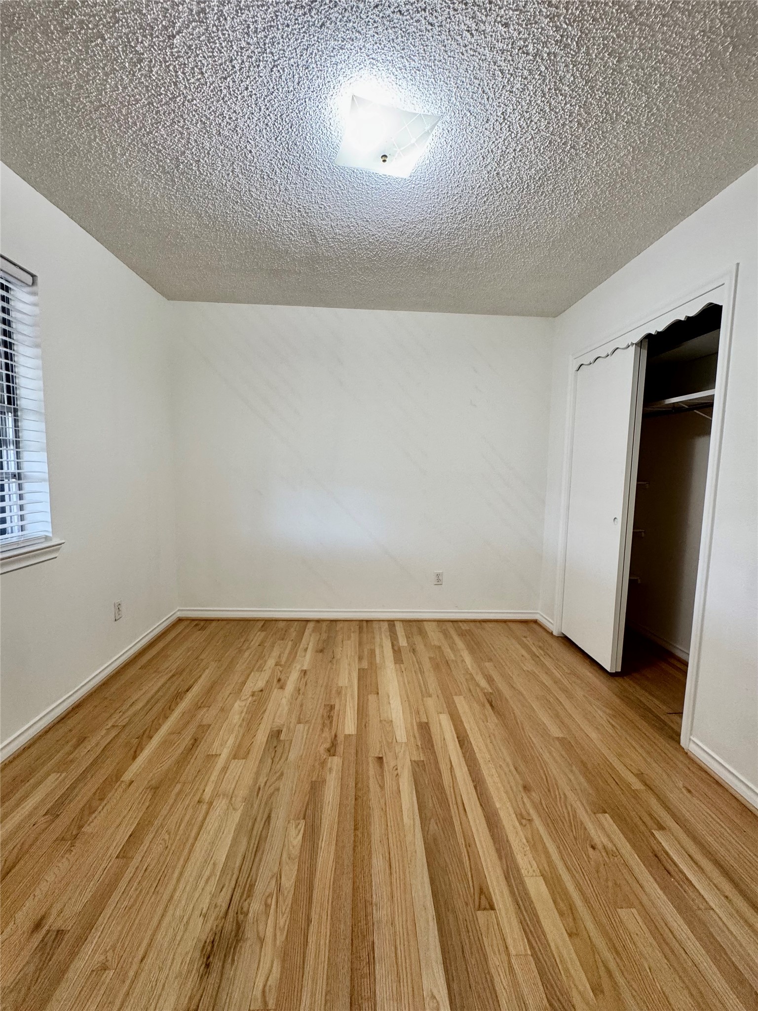 4519 Marigold Trail Mesquite TX 75150