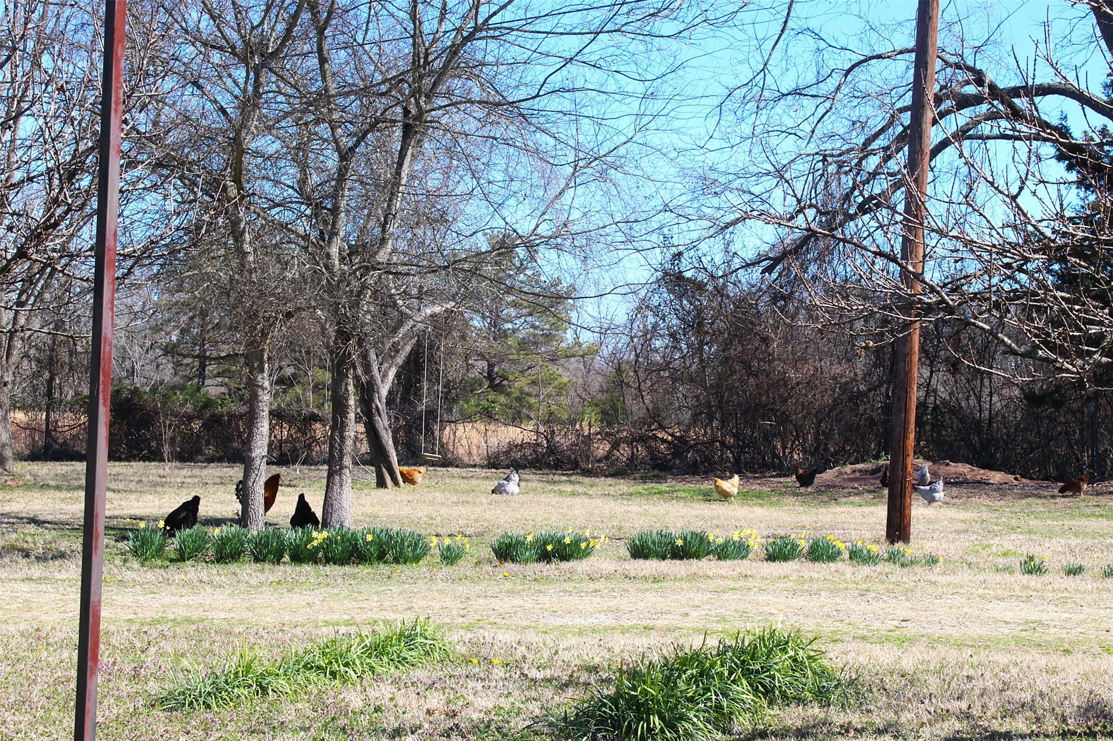 4776 NE County Road 2120 Road Talco TX 75487