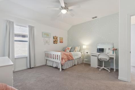 16509 Hidden Cove Drive Celina TX 75009