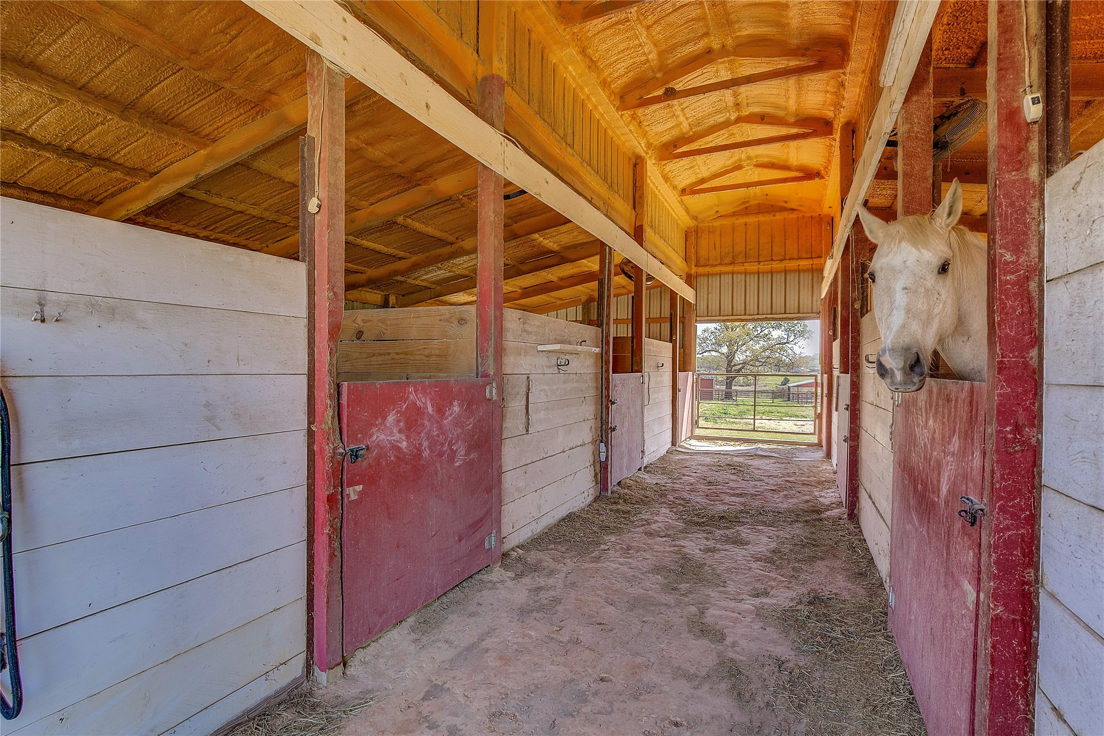 7359 Texas Highway 154 S Sulphur Springs TX 75482