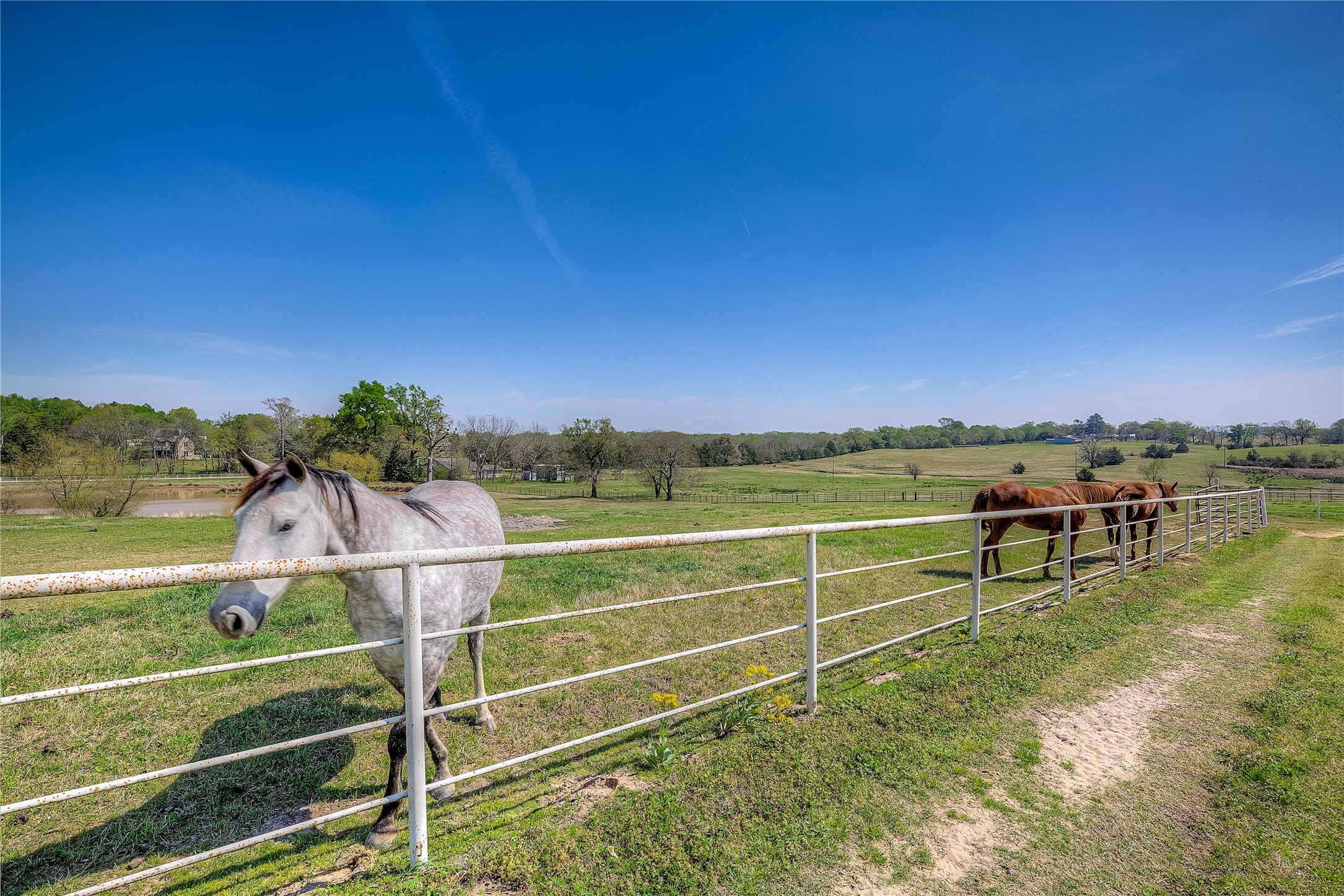 7359 Texas Highway 154 S Sulphur Springs TX 75482