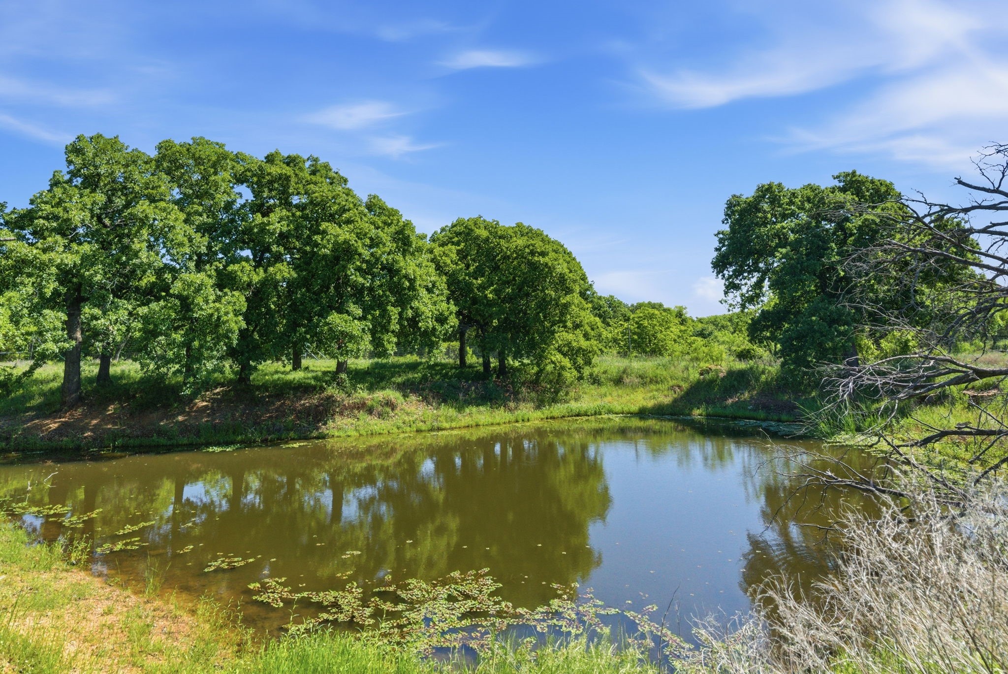 601 County Road 175 Cisco TX 76437