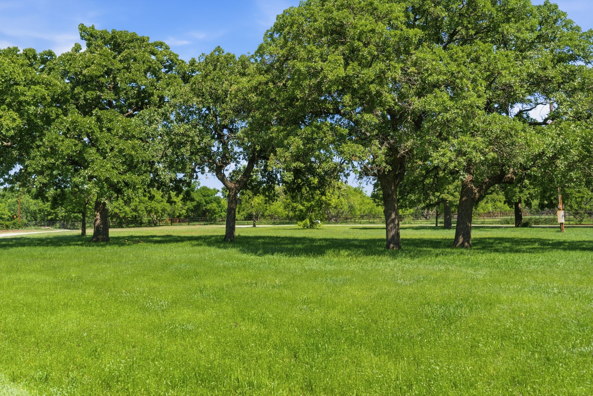 601 County Road 175 Cisco TX 76437