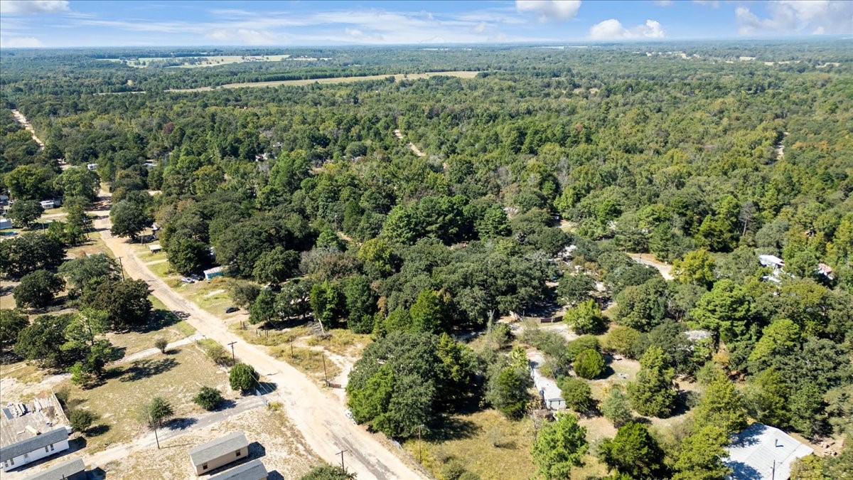23207 Holly Road Mineola TX 75773