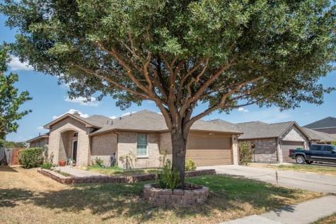 1032 Castille Drive Grand Prairie TX 75051
