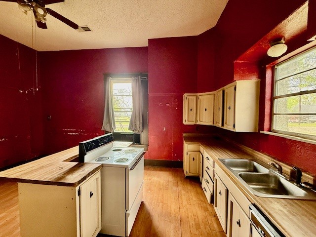 950 W Bonham Avenue Cooper TX 75432