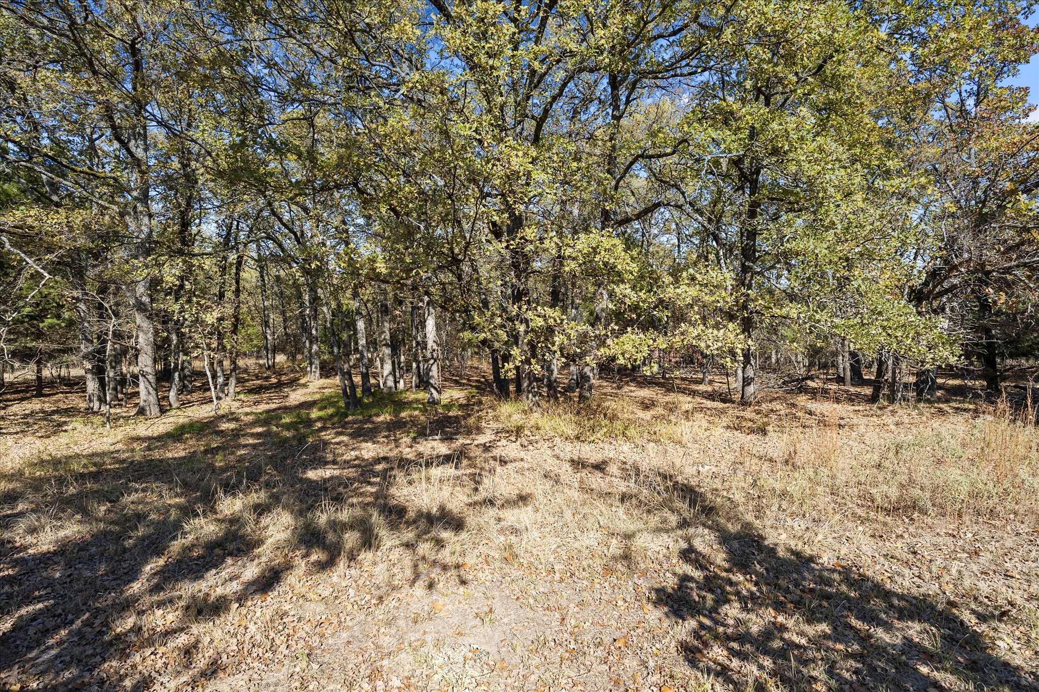 328 Comanche Trail West Tawakoni TX 75474
