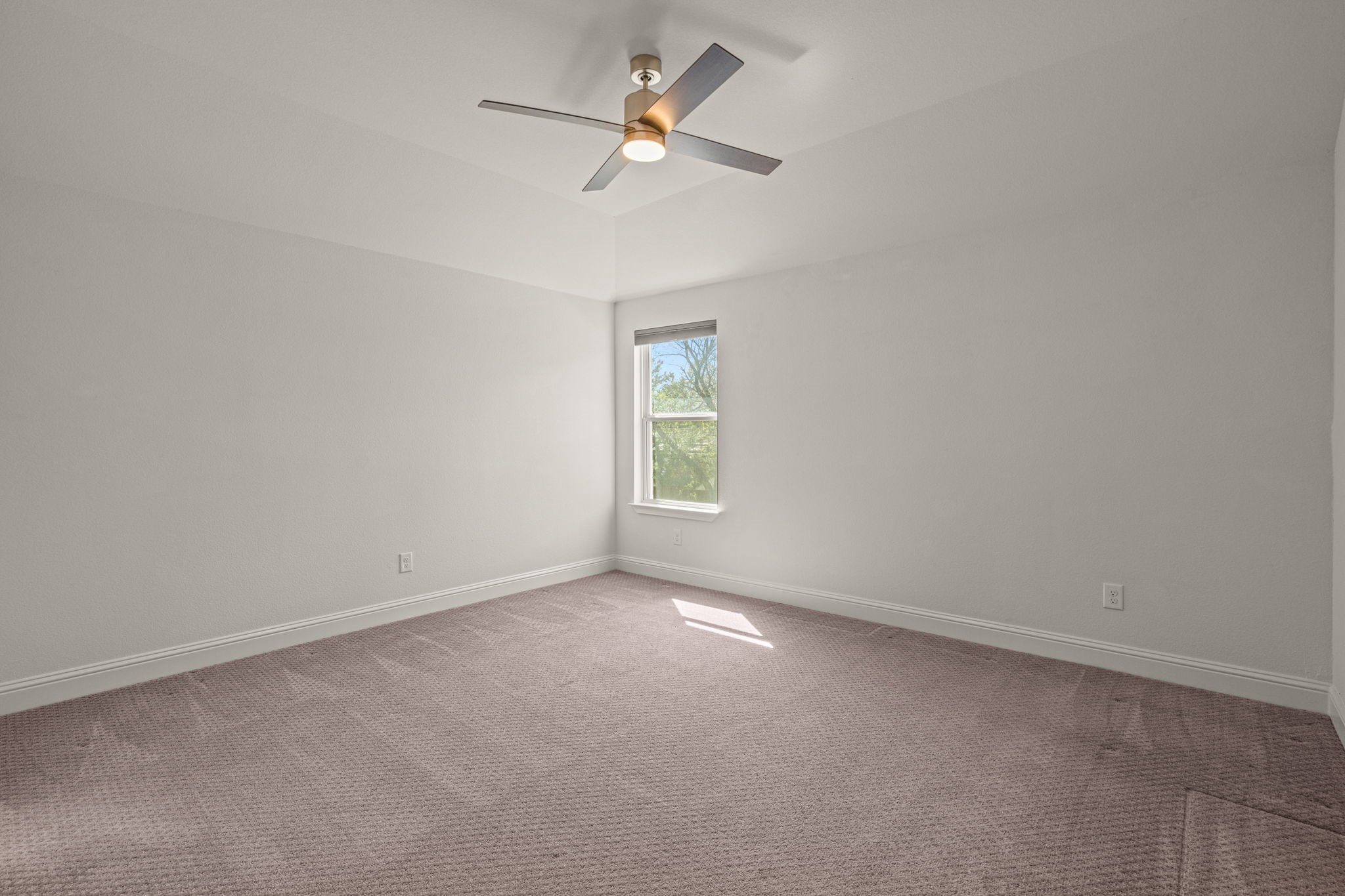 3649 Shelby Drive Fort Worth TX 76109