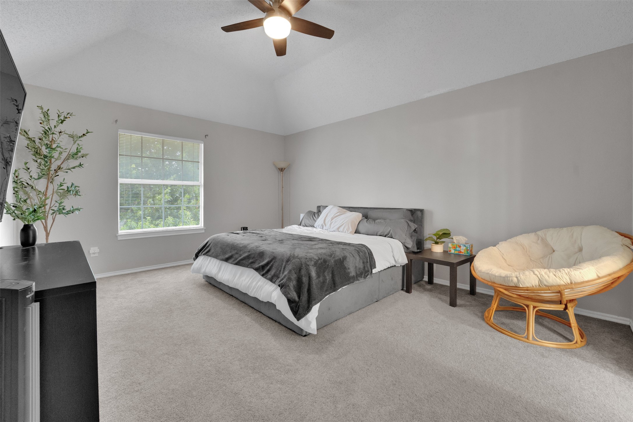 204 Springpark Drive Arlington TX 76014