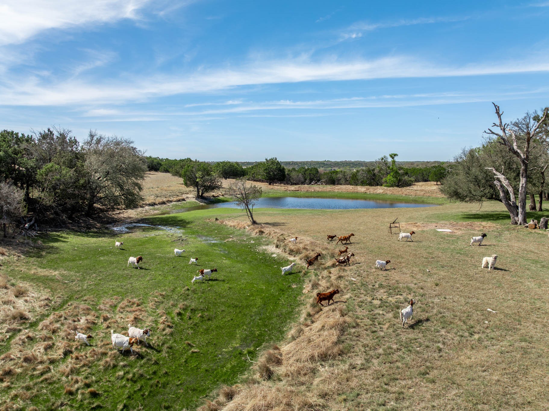5680 County Road 142 Gatesville TX 76528