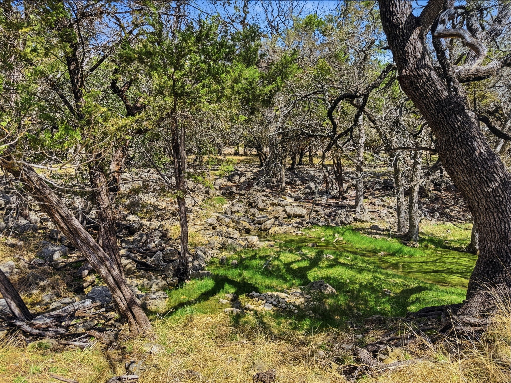 5680 County Road 142 Gatesville TX 76528