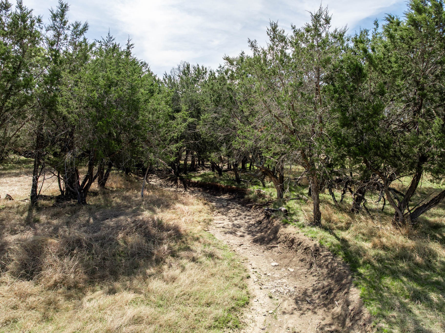 5680 County Road 142 Gatesville TX 76528