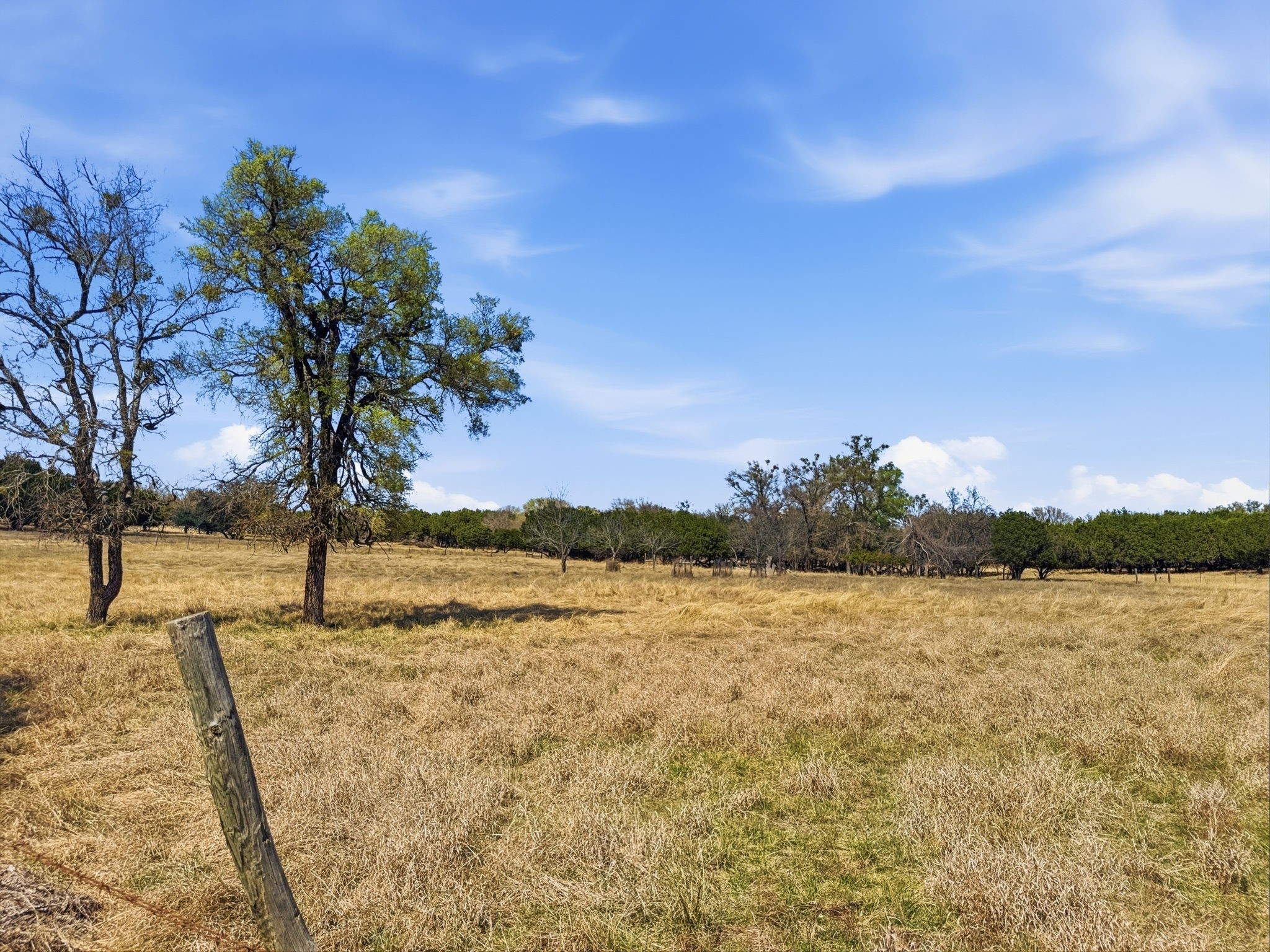 5680 County Road 142 Gatesville TX 76528