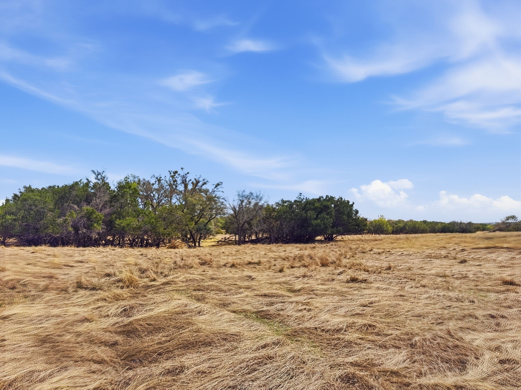 5680 County Road 142 Gatesville TX 76528