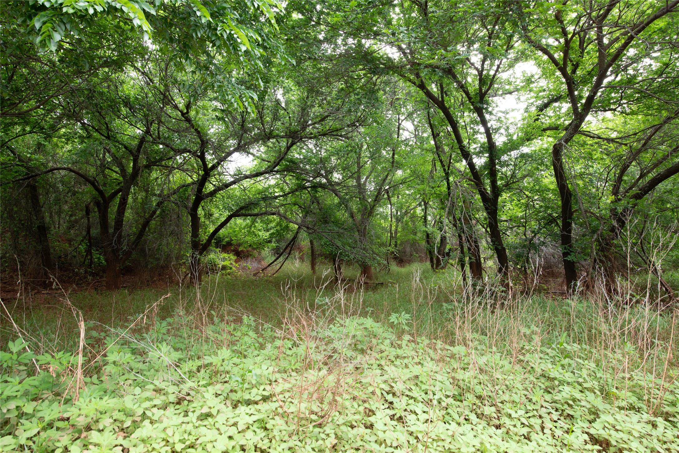 117 Buchanan Road (CR 661) Abilene TX 79606