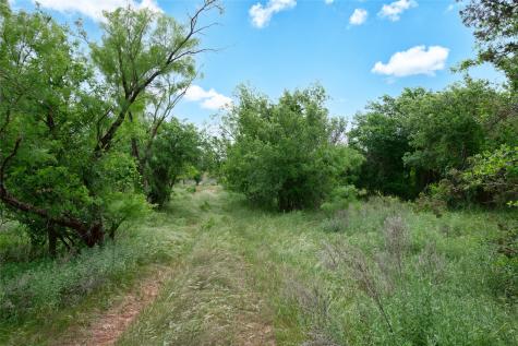 117 Buchanan Road (CR 661) Abilene TX 79606
