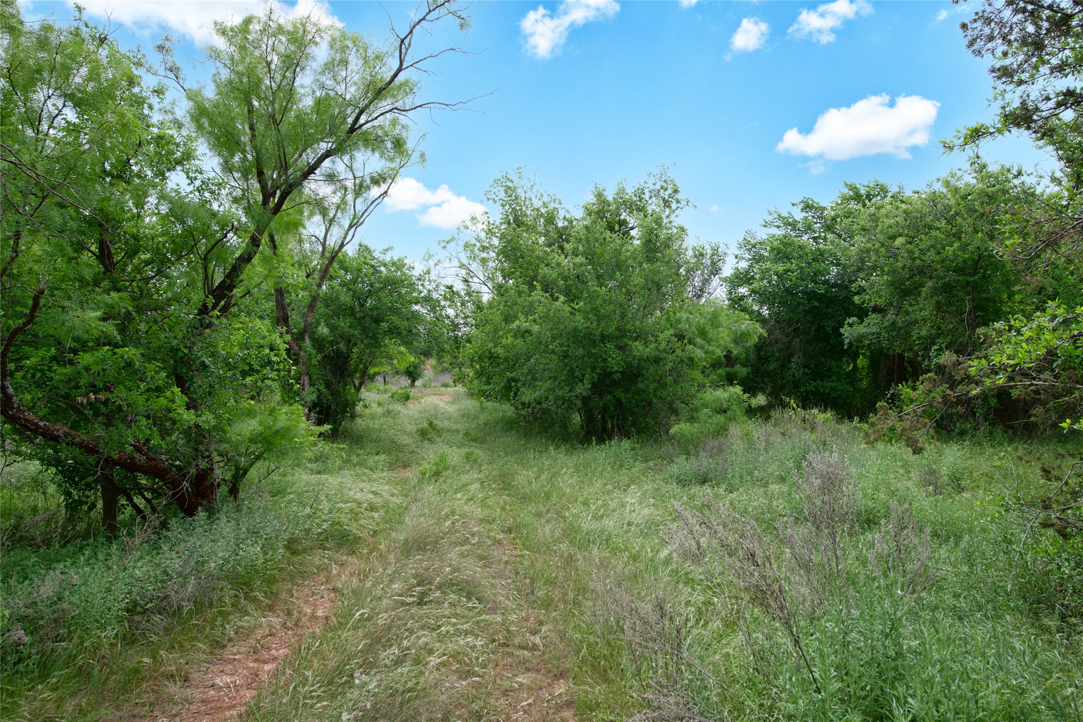 117 Buchanan Road (CR 661) Abilene TX 79606