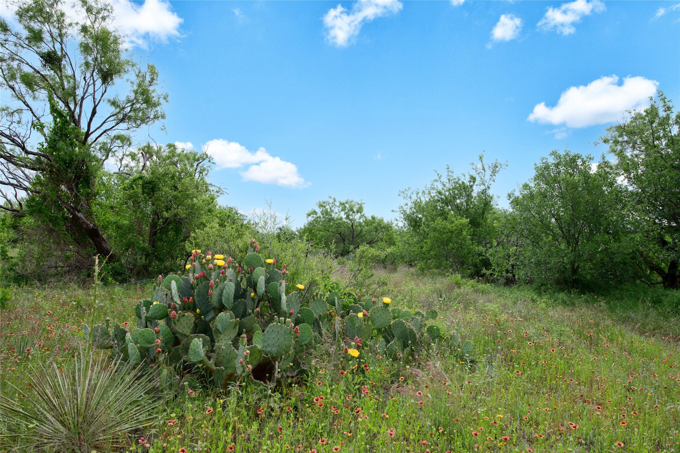 117 Buchanan Road (CR 661) Abilene TX 79606