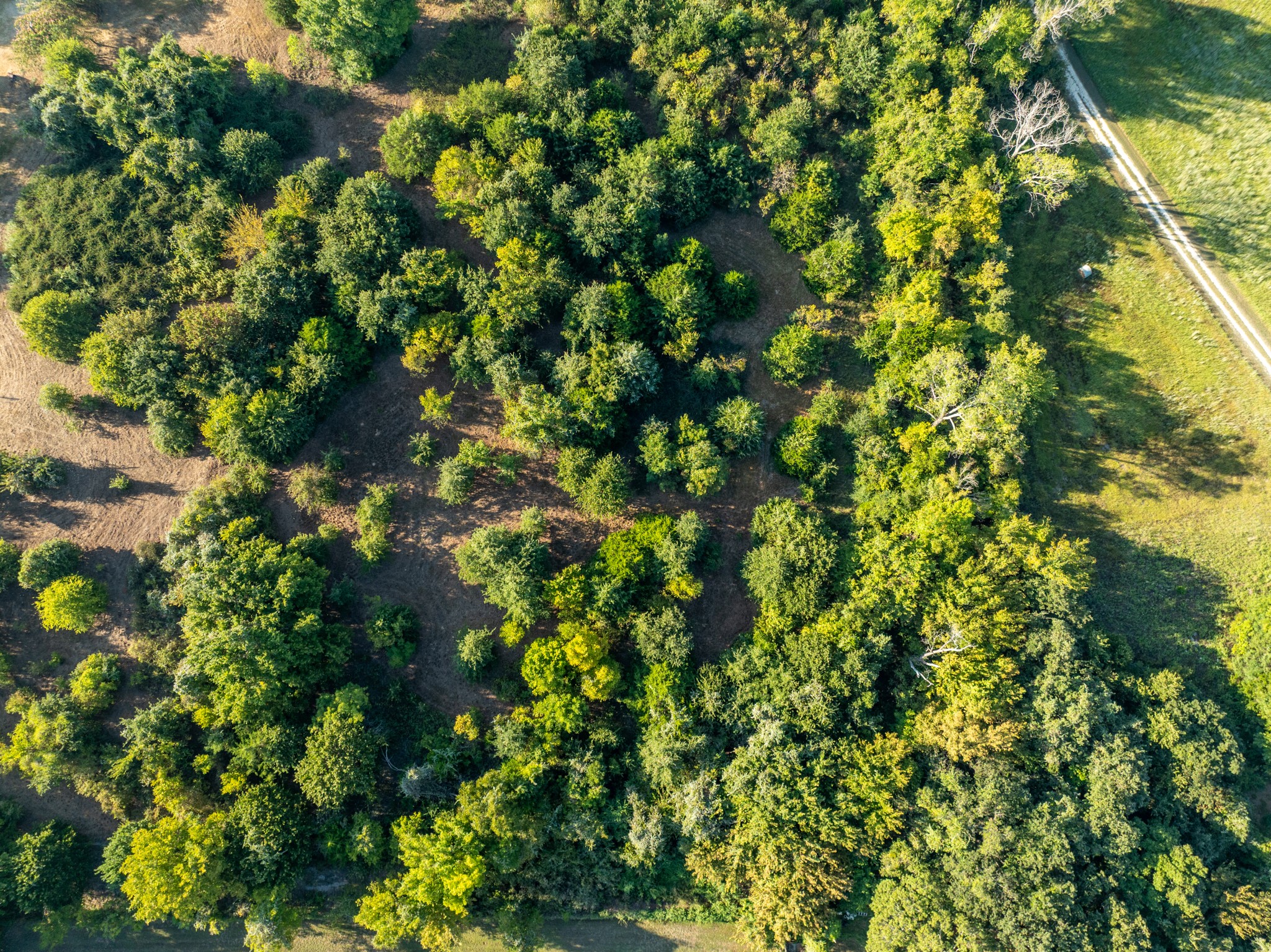 6045 County Road 319 Alvarado TX 76009