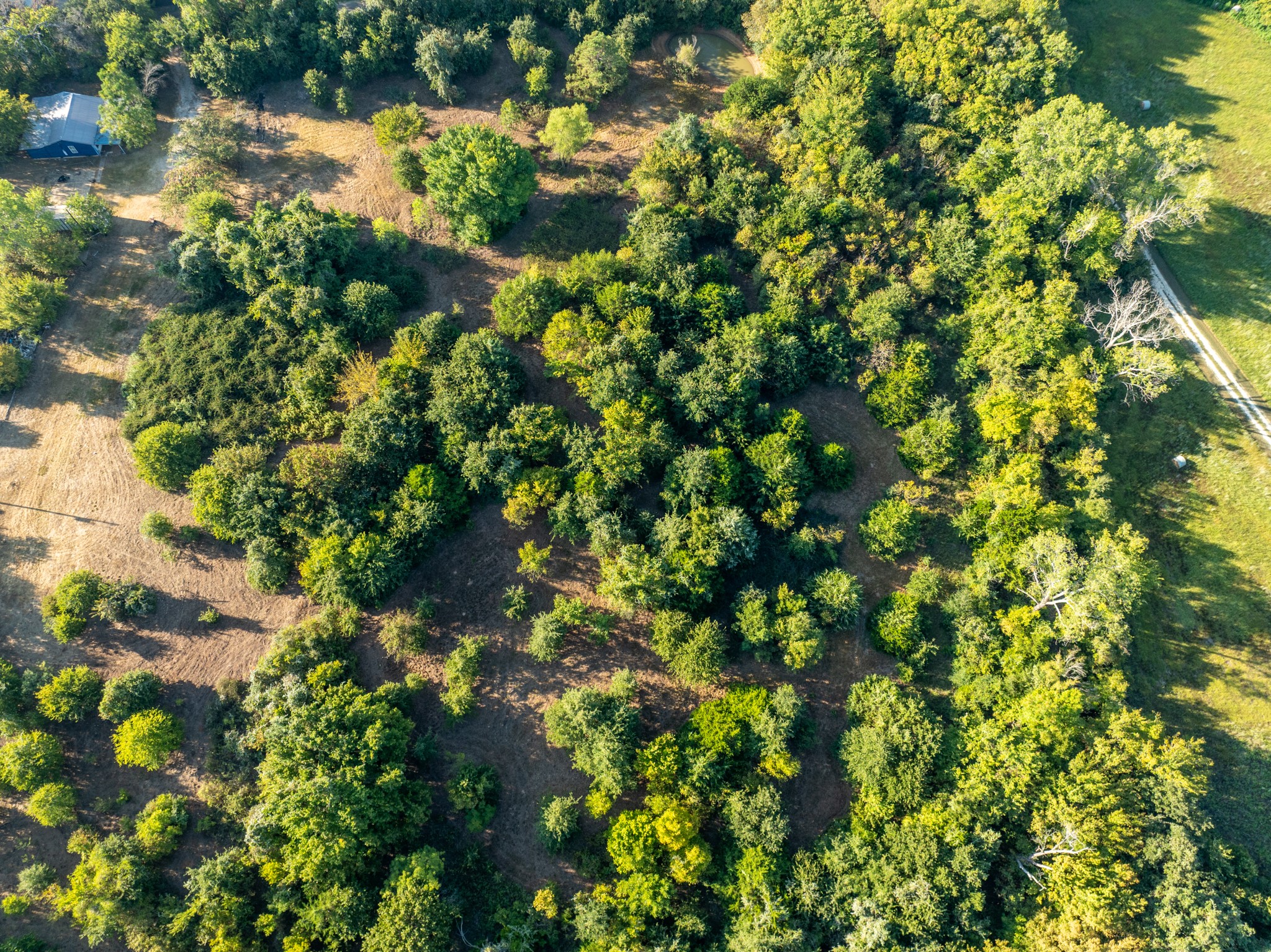 6045 County Road 319 Alvarado TX 76009