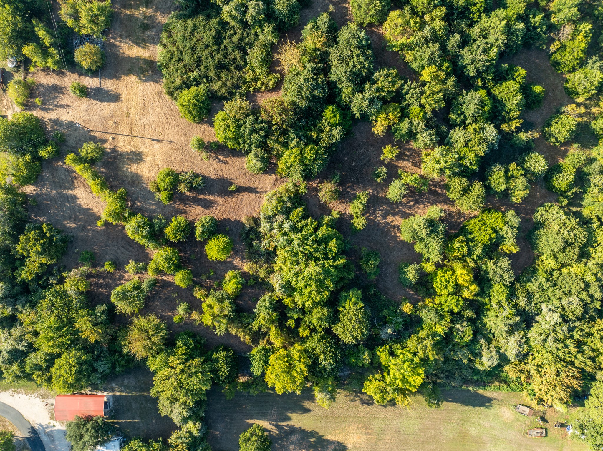 6045 County Road 319 Alvarado TX 76009