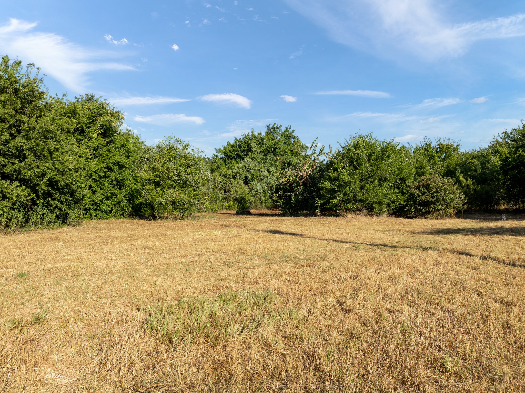 6045 County Road 319 Alvarado TX 76009