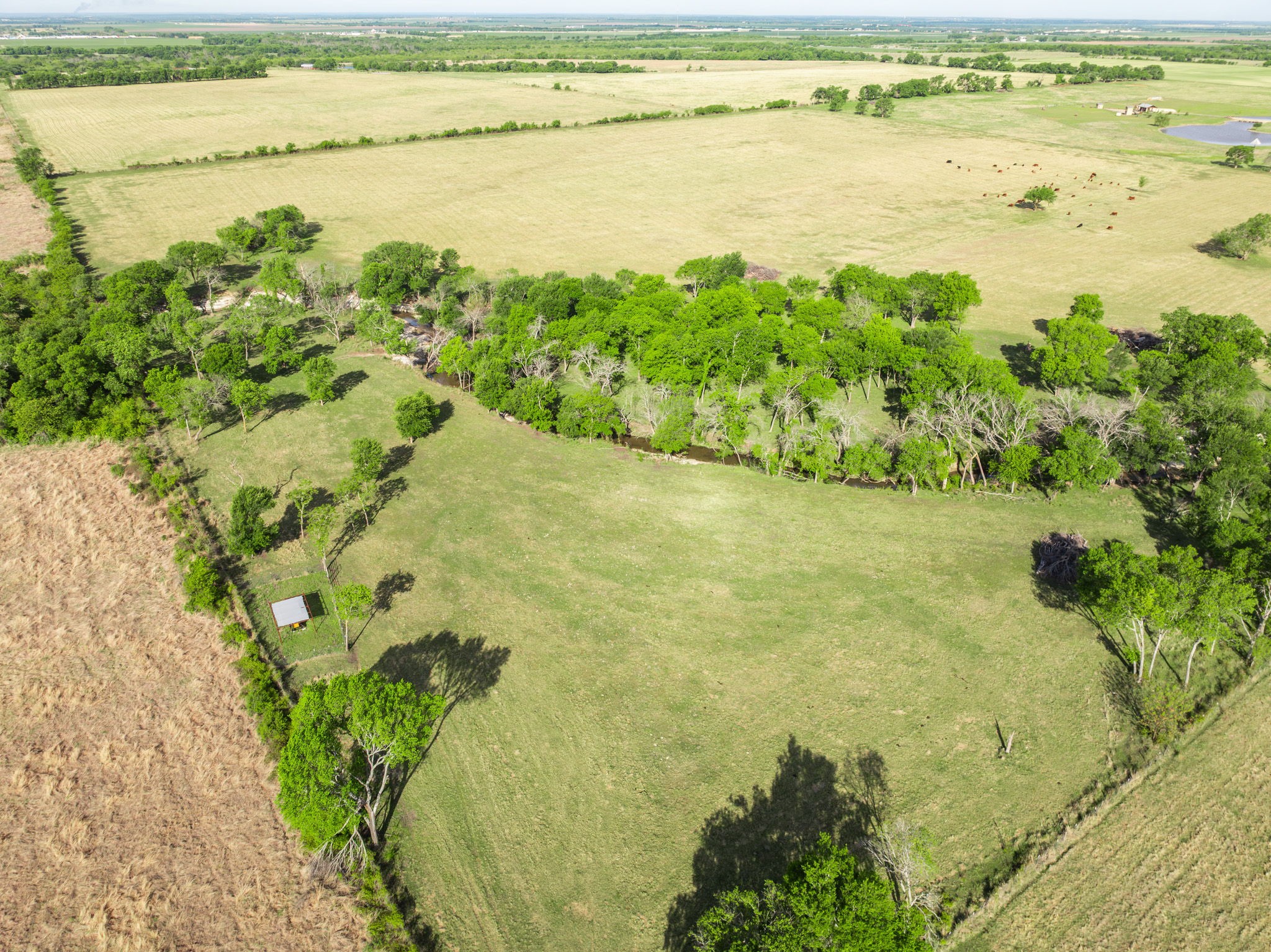 887 Hcr. 3110 N Abbott TX 76621