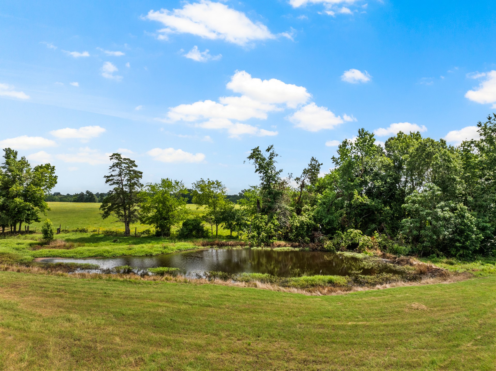 468 Cr 4211 Pittsburg TX 75686