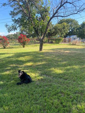 3704 County Road 801 Cleburne TX 76031