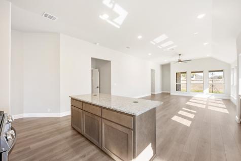 117 Whistling Duck Drive Balch Springs TX 75181