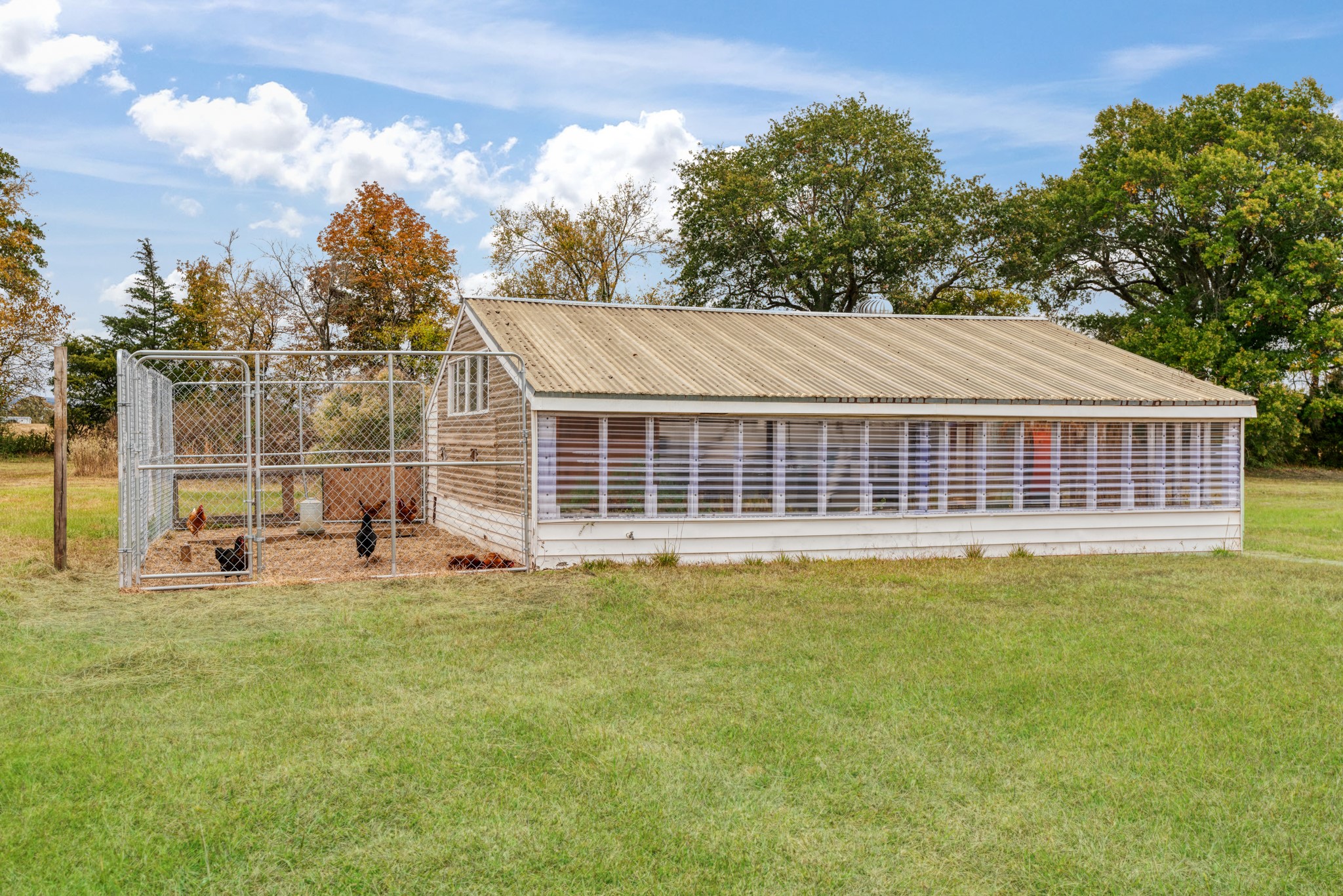 1005 E Highway 82 Blossom TX 75416