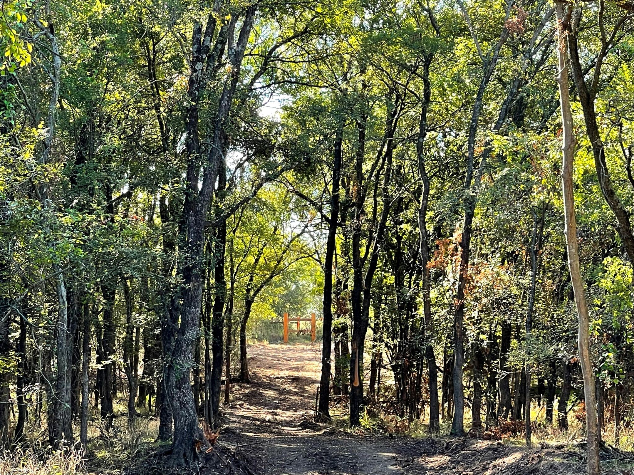 800 Vest Lane Pilot Point TX 76258