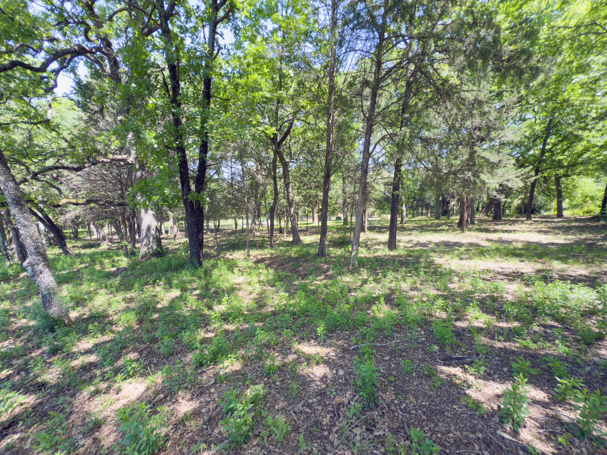 125 Harrell Street Gun Barrel City TX 75156