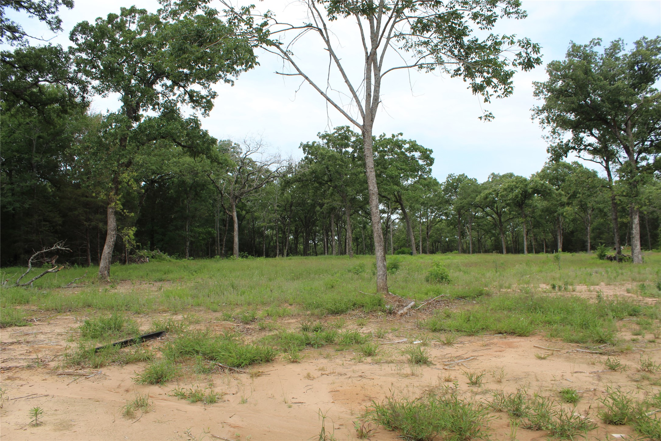 3265 Private Road 5401 Malakoff TX 75148
