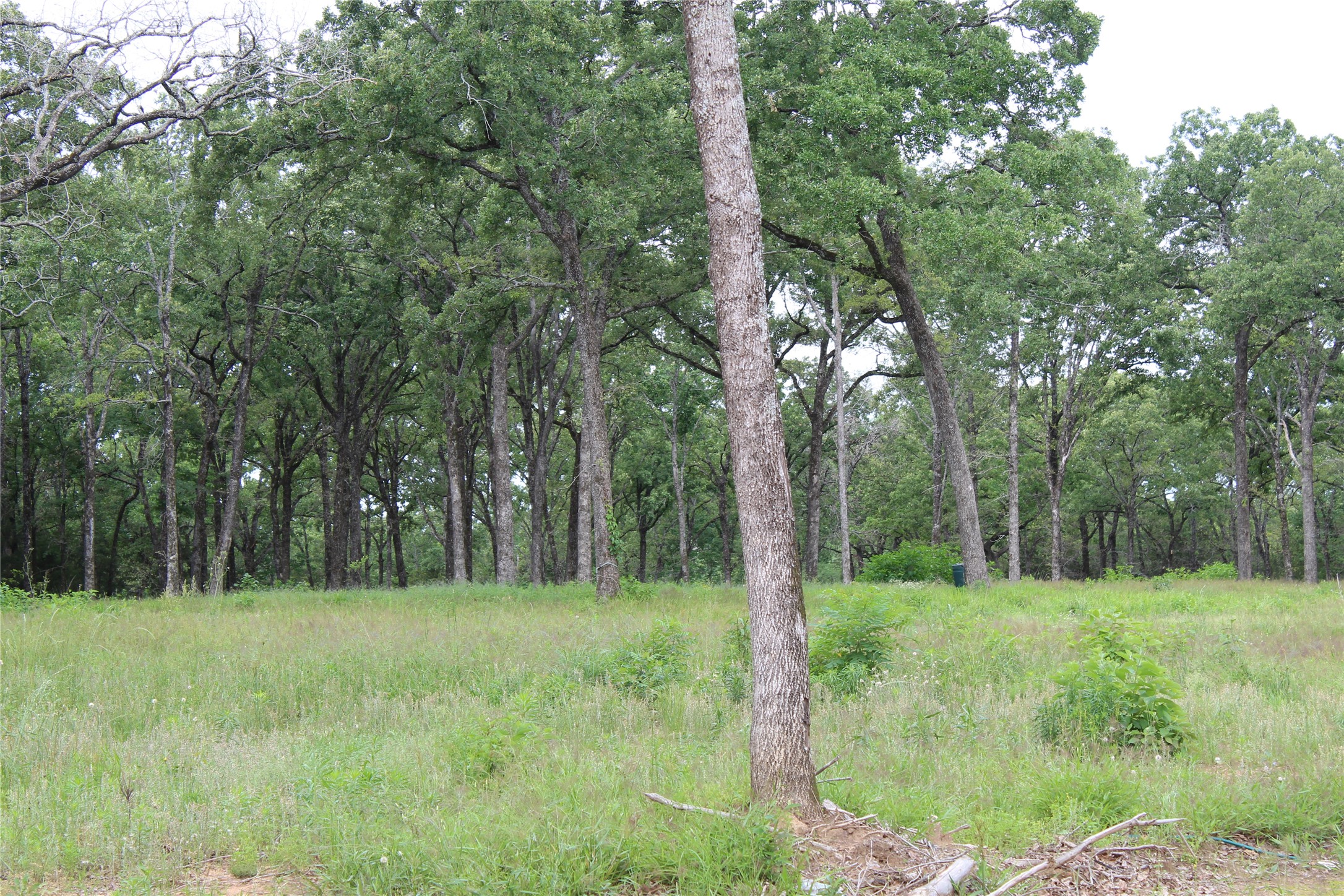 3265 Private Road 5401 Malakoff TX 75148