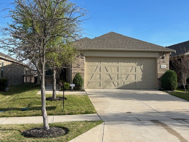 1237 Revolution Drive Little Elm TX 76227
