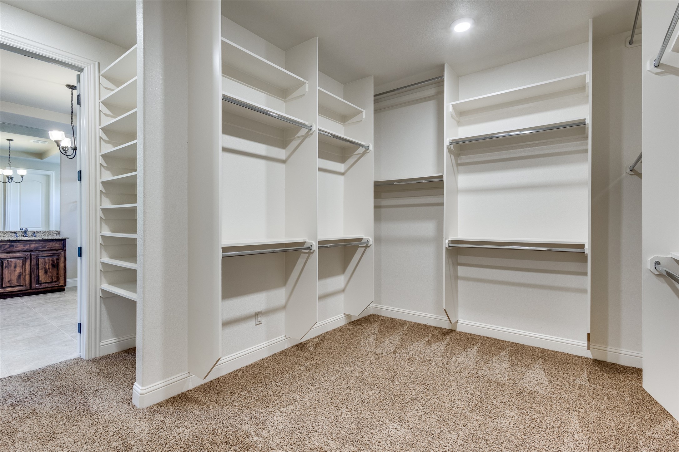 14192 Strawflowers Drive Frisco TX 75035