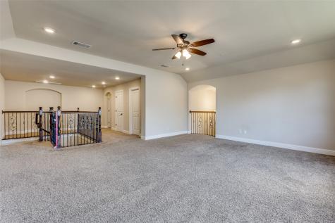 14192 Strawflowers Drive Frisco TX 75035